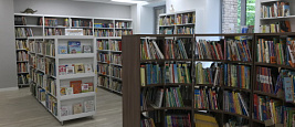 Детская библиотека № 203